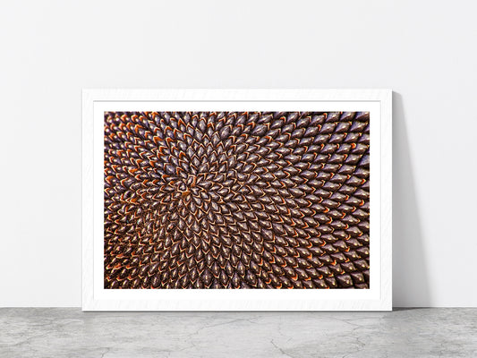 Ripe Sunflower Seeds Glass Framed Wall Art, Ready to Hang Quality Print With White Border White