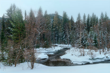 Winter Landscapes in Siberia Home Decor Premium Quality Poster Print Choose Your Sizes