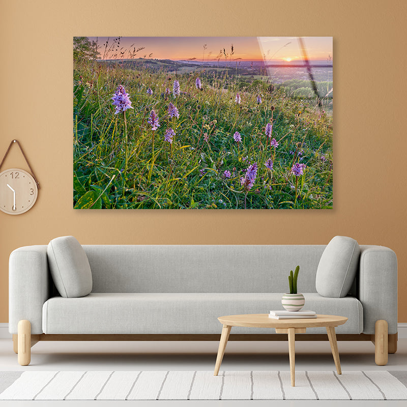 View of Grassland with Orchids, Mountains Acrylic Glass Print Tempered Glass Wall Art 100% Made in Australia Ready to Hang