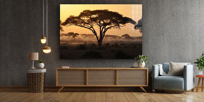 Savannah Forest Sunset UV Direct Aluminum Print Australian Made Quality