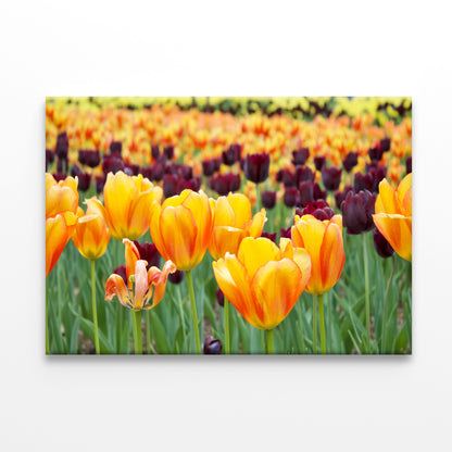 Flowers in Hot Springs Arkansas Wall Art Decor 100% Australian Made