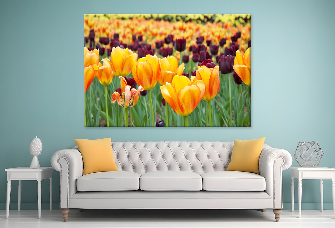 Flowers in Hot Springs Arkansas Wall Art Decor 100% Australian Made