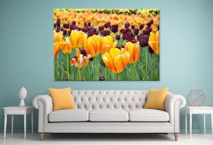 Flowers in Hot Springs Arkansas Wall Art Decor 100% Australian Made