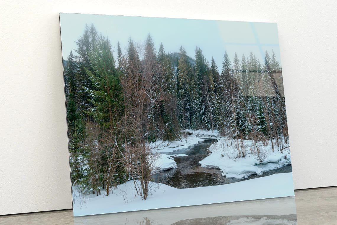 Winter Landscapes in Siberia Acrylic Glass Print Tempered Glass Wall Art 100% Made in Australia Ready to Hang