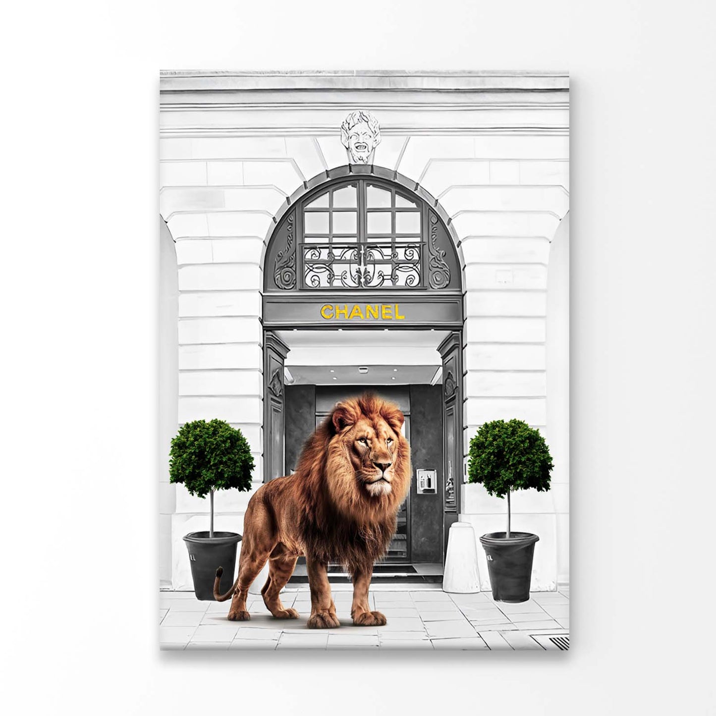 Lion Fashion Store 3D Design Acrylic Glass Print Tempered Glass Wall Art 100% Made in Australia Ready to Hang