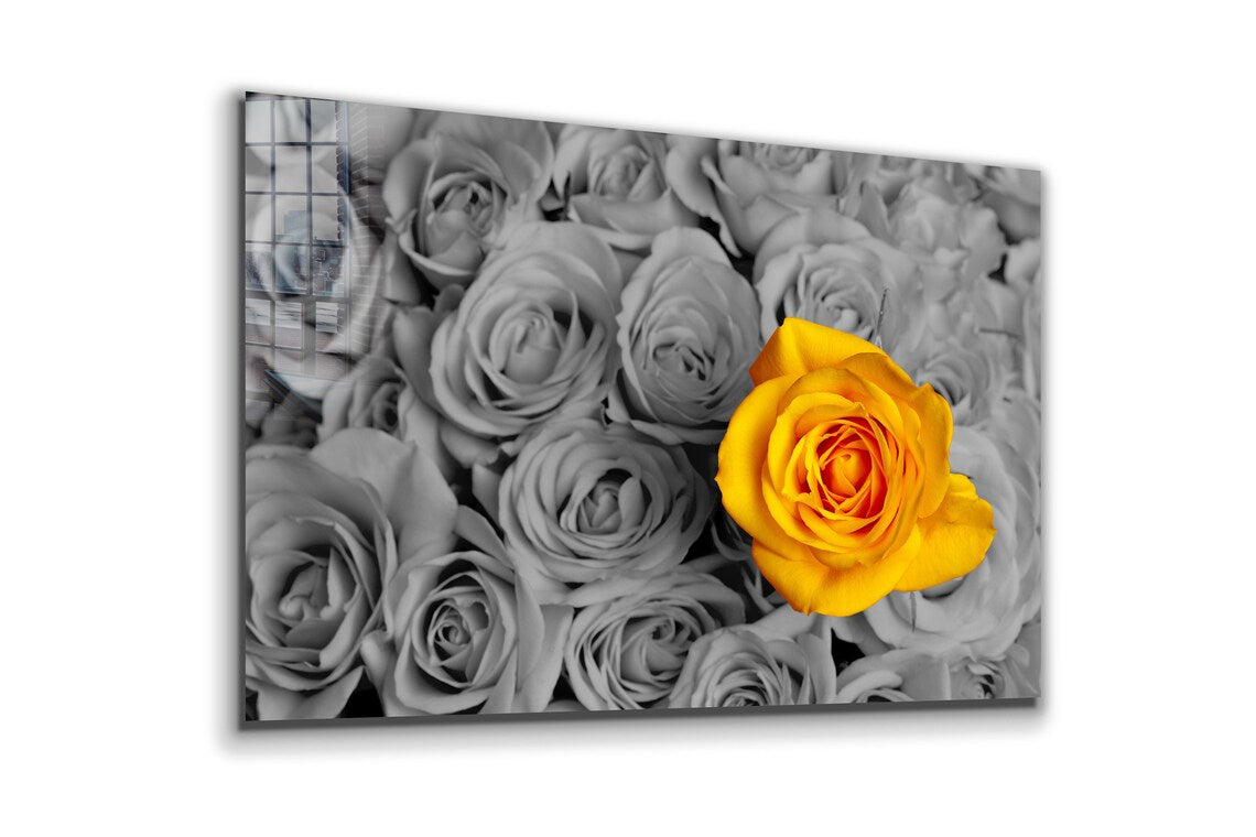 Yellow Rose B&W Roses UV Direct Aluminum Print Australian Made Quality