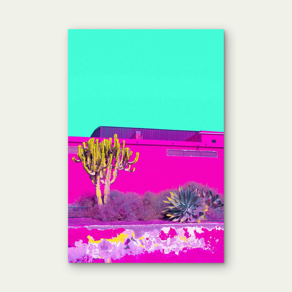 Cactus Pink Wall Blue Sky Minimalist Tropical 40x60cm Metal Print Ready to Hang