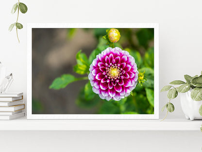 Shining Dahlia Flower Glass Framed Wall Art, Ready to Hang Quality Print Without White Border White