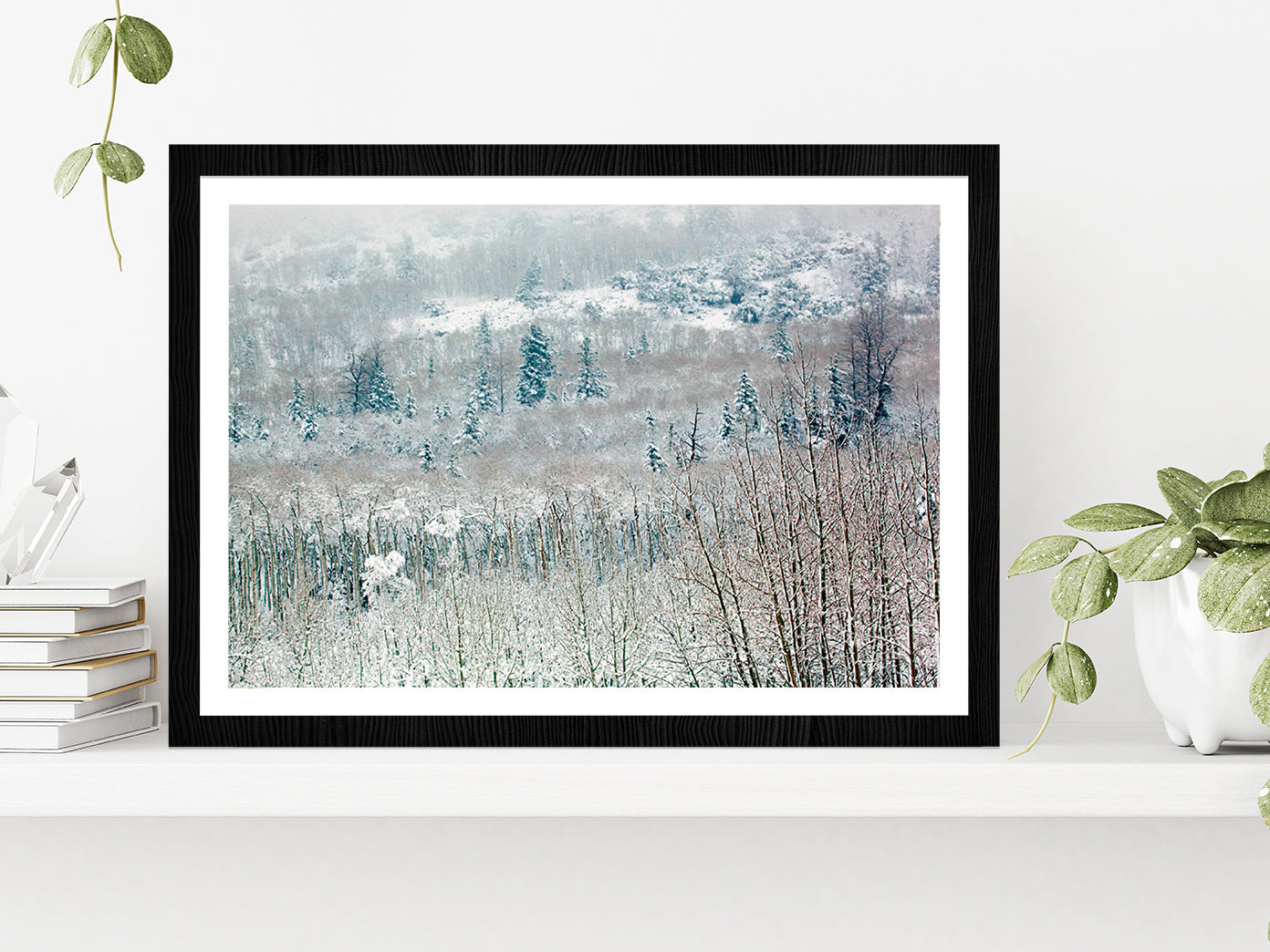 Snowy Winter Woodland Glass Framed Wall Art, Ready to Hang Quality Print With White Border Black