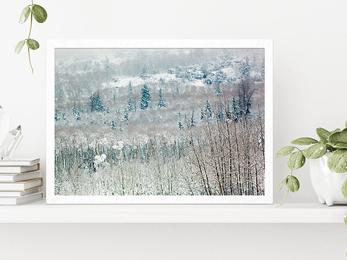 Snowy Winter Woodland Glass Framed Wall Art, Ready to Hang Quality Print Without White Border White