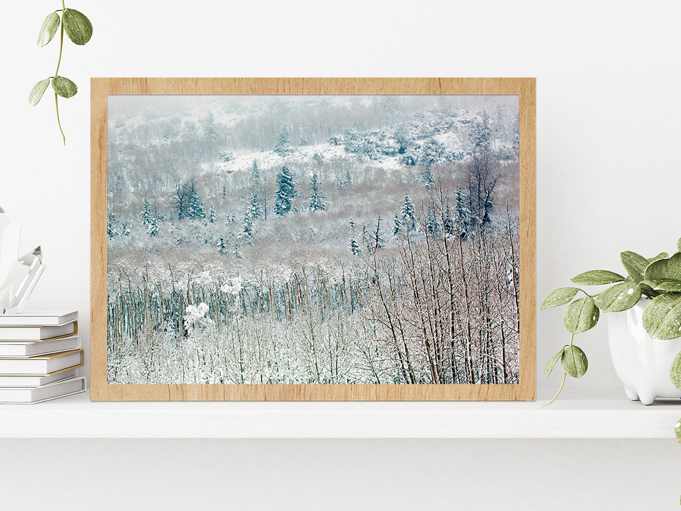 Snowy Winter Woodland Glass Framed Wall Art, Ready to Hang Quality Print Without White Border Oak