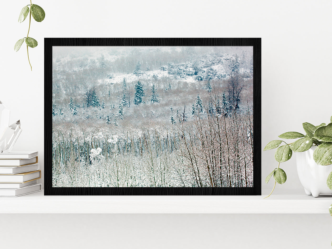 Snowy Winter Woodland Glass Framed Wall Art, Ready to Hang Quality Print Without White Border Black