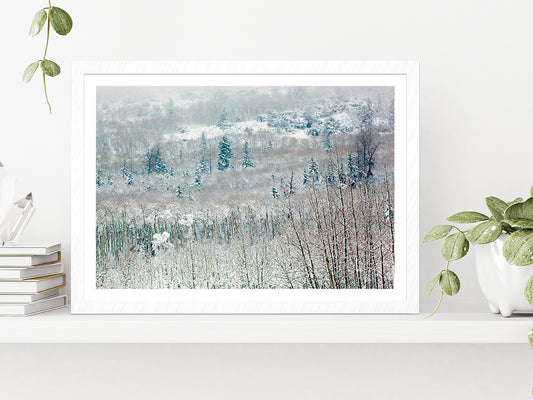 Snowy Winter Woodland Glass Framed Wall Art, Ready to Hang Quality Print With White Border White