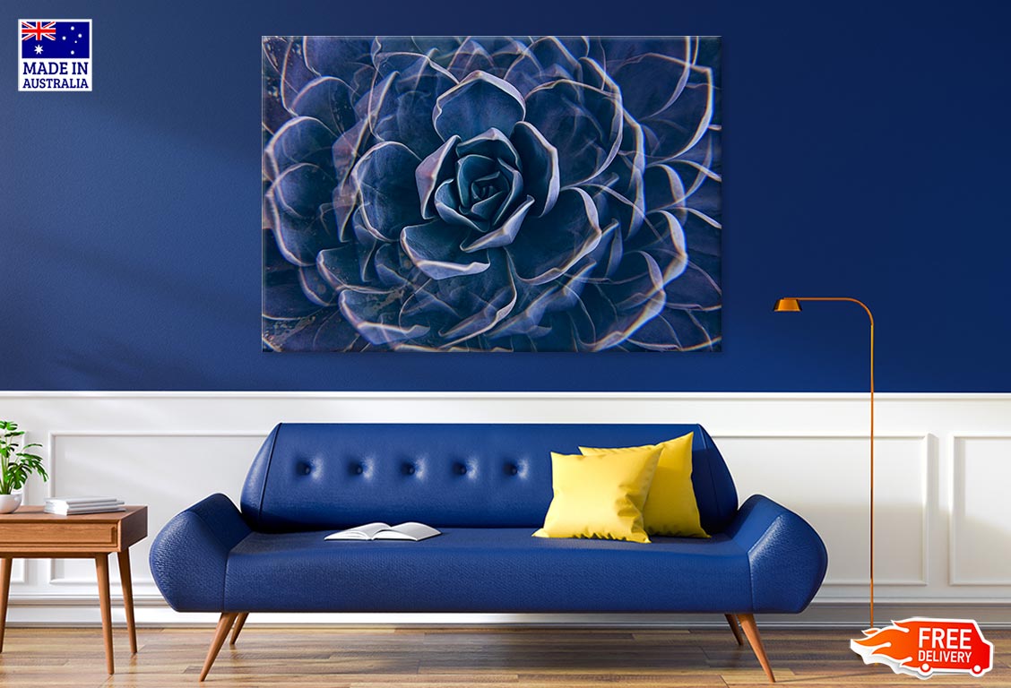 Succulent Rock Rose Closeup Print 100% Australian Made