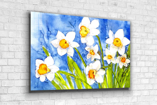 Narcissus Flowers Art UV Direct Aluminum Print Australian Made Quality