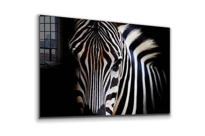 Equus Zebra Closeup B&W UV Direct Aluminum Print Australian Made Quality