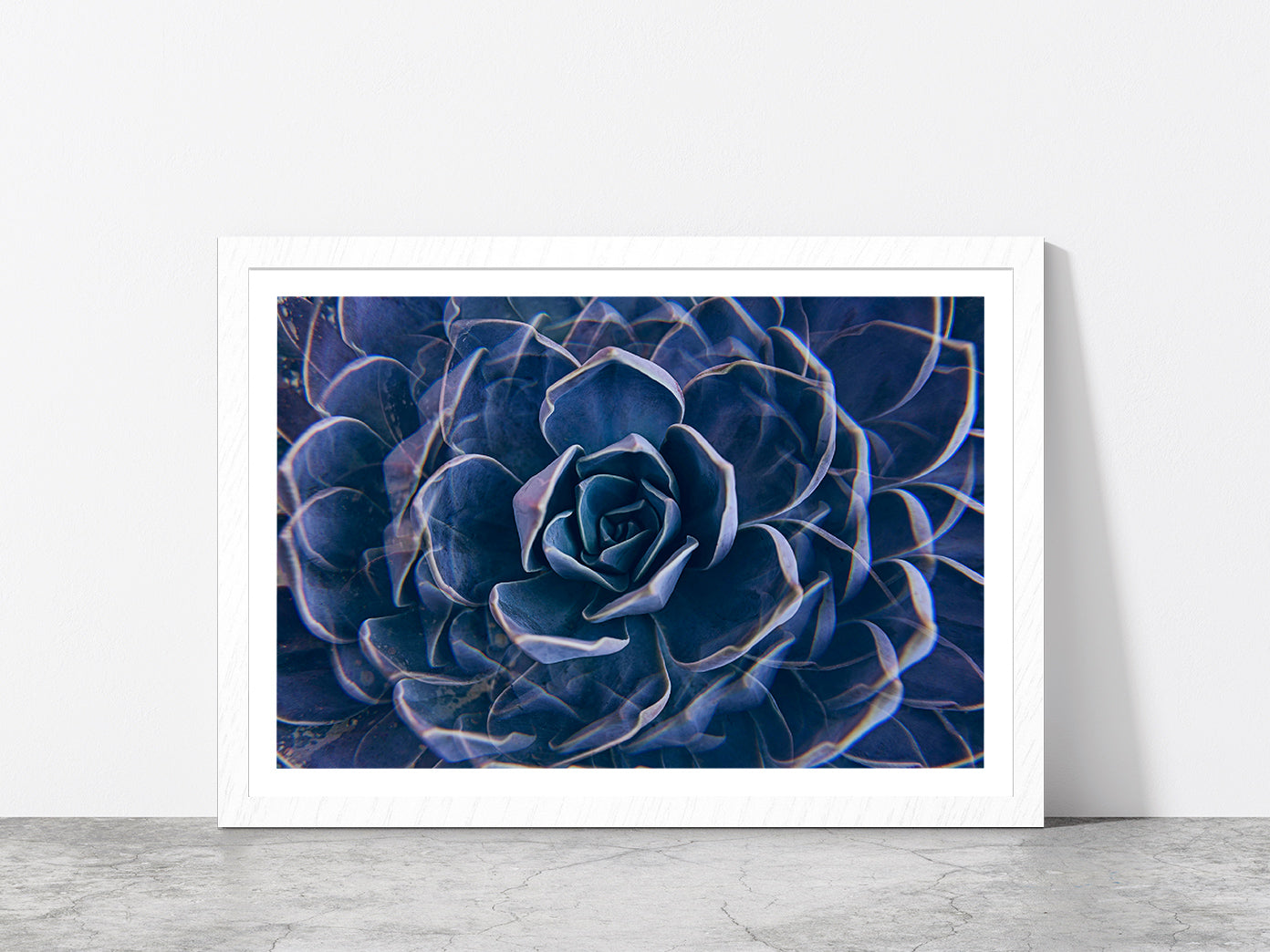 Succulent Rock Rose Closeup Glass Framed Wall Art, Ready to Hang Quality Print