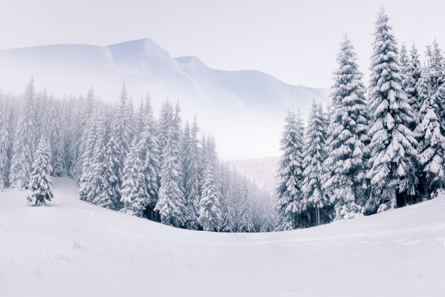 Foggy Winter Landscape In Mountain Print 100% Australian Made