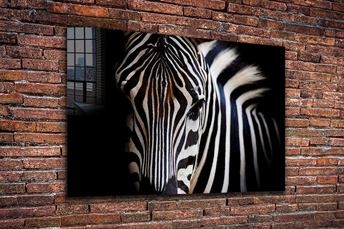 Equus Zebra Closeup B&W UV Direct Aluminum Print Australian Made Quality