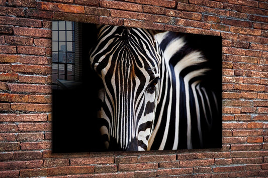 Equus Zebra Closeup B&W UV Direct Aluminum Print Australian Made Quality