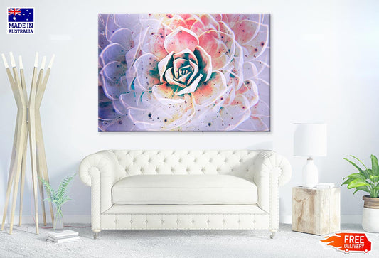 White Mexican Rose closeup Print 100% Australian Made