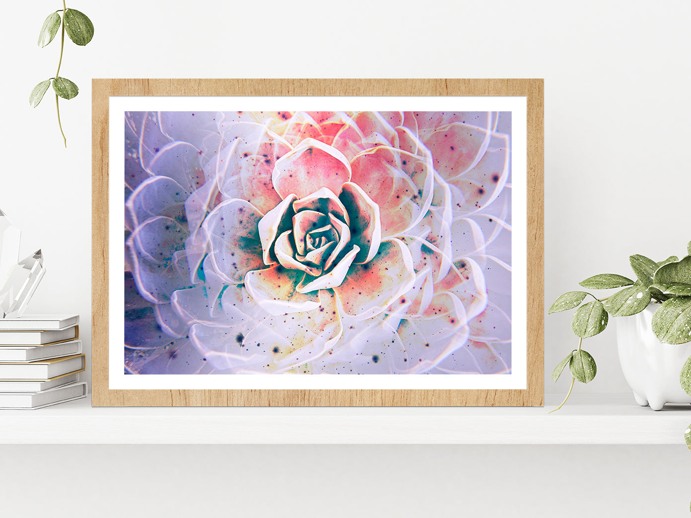 White Mexican Rose closeup Glass Framed Wall Art, Ready to Hang Quality Print With White Border Oak