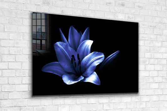 Blue Flower on Dark UV Direct Aluminum Print Australian Made Quality