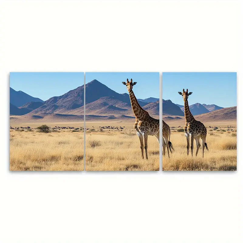 3pcs Namibia Safari Wildlife African Panoramic Wall Art Set Canvas Framed 60x90cm - High Quality Print 100% Australian Made Wall Canvas Ready to Hang