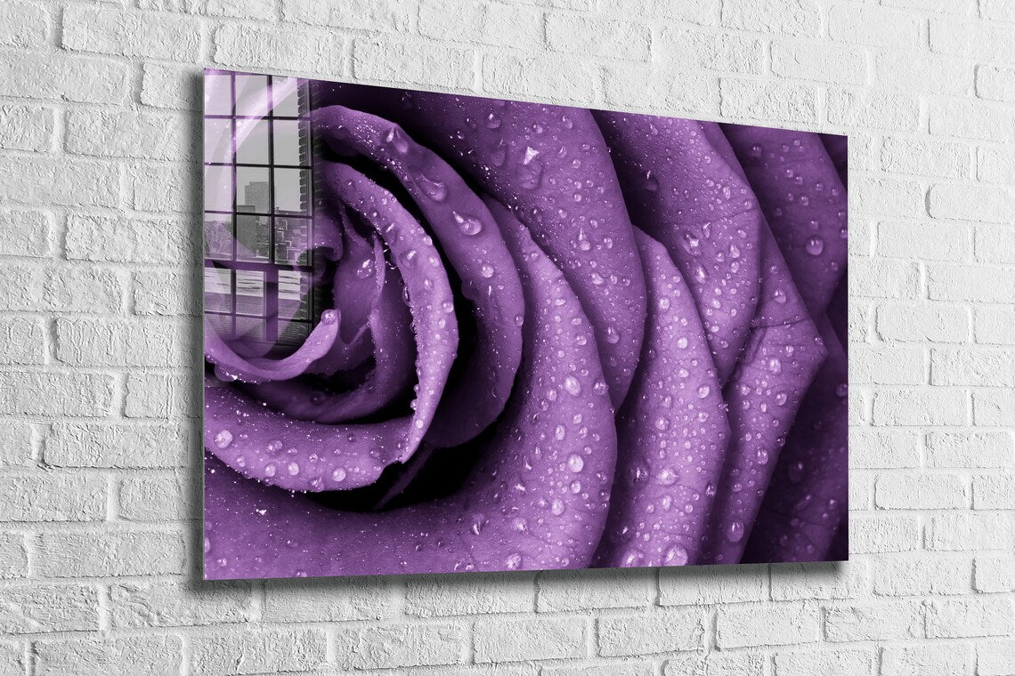 Purple Rose Droplet UV Direct Aluminum Print Australian Made Quality