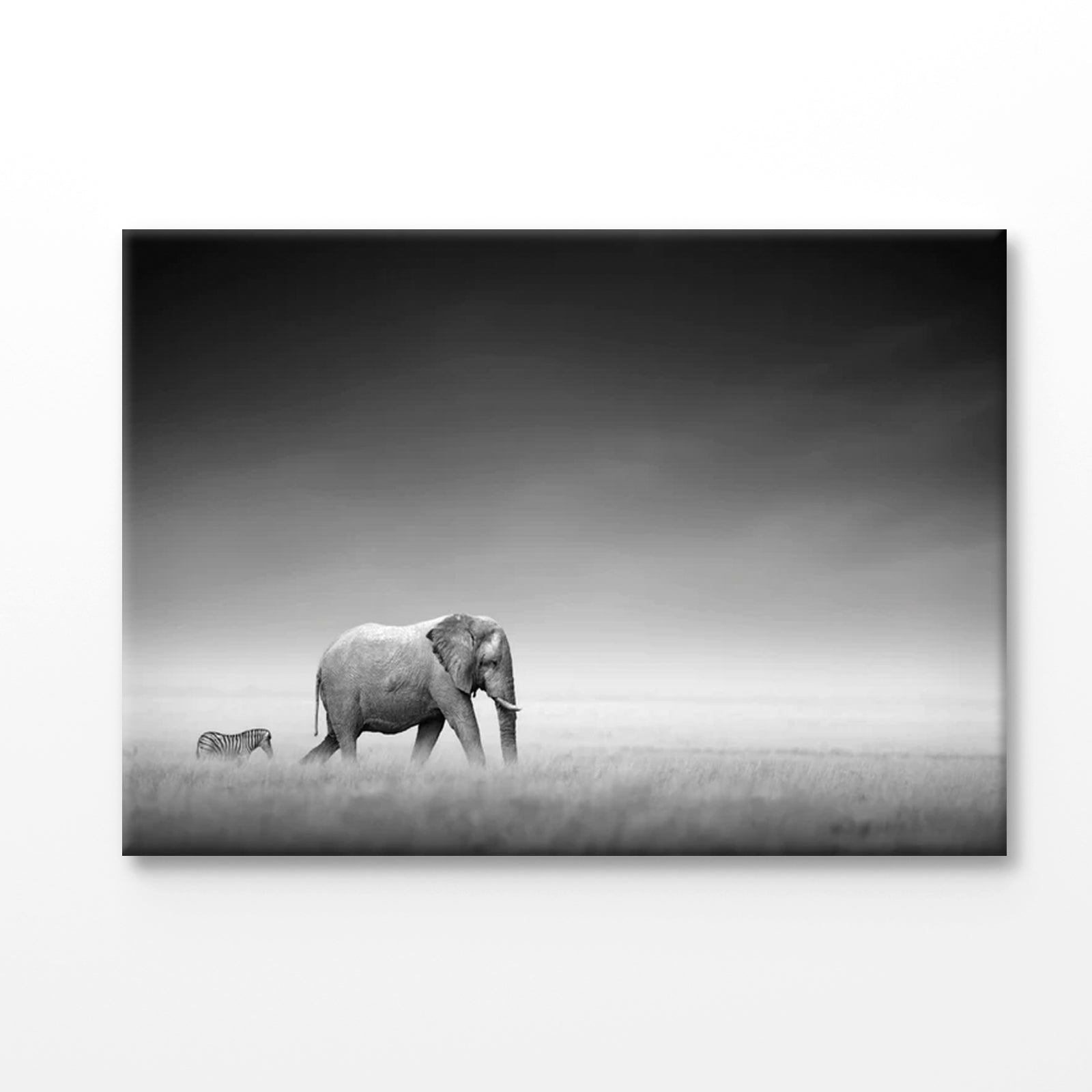 Bella Home B&W Elephant & Zebra Walking Together Print Canvas Ready to hang