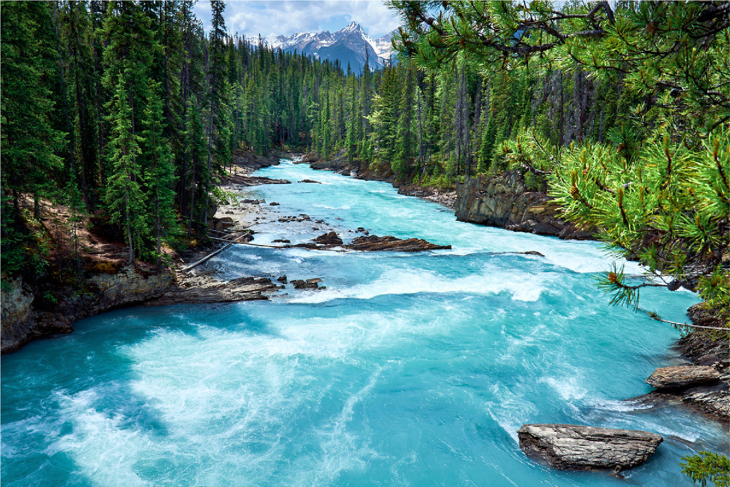 River In Evergreen Forest Glass Framed Wall Art, Ready to Hang Quality Print