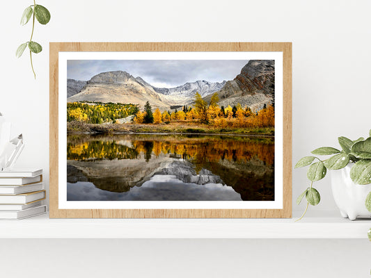 Autumn Forest In Canadian Rockies Glass Framed Wall Art, Ready to Hang Quality Print With White Border Oak