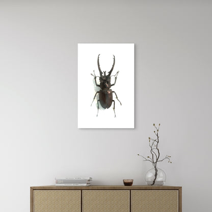 Male Stag Beetle Specimen 60x90cm Metal Print Ready to Hang