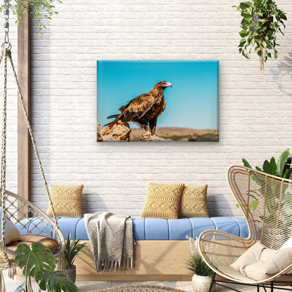 Wedge Tailed Eagle Australia Wall Art Decor 100% Australian Made
