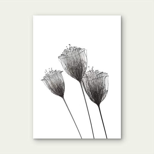 Black and white Silver Wire Mesh Floral Stems 40x60cm Metal Print Ready to Hang
