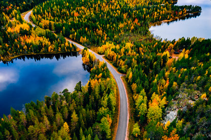 Road & Autumn Forest In Finland Glass Framed Wall Art, Ready to Hang Quality Print