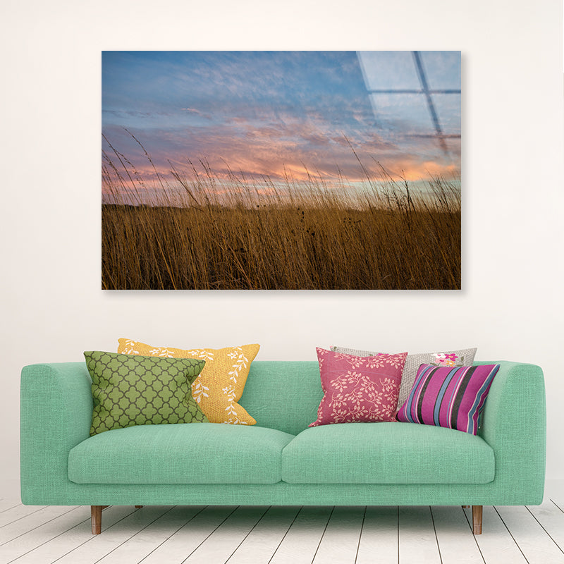 Sunset over Grasses with Beautiful Sky Acrylic Glass Print Tempered Glass Wall Art 100% Made in Australia Ready to Hang