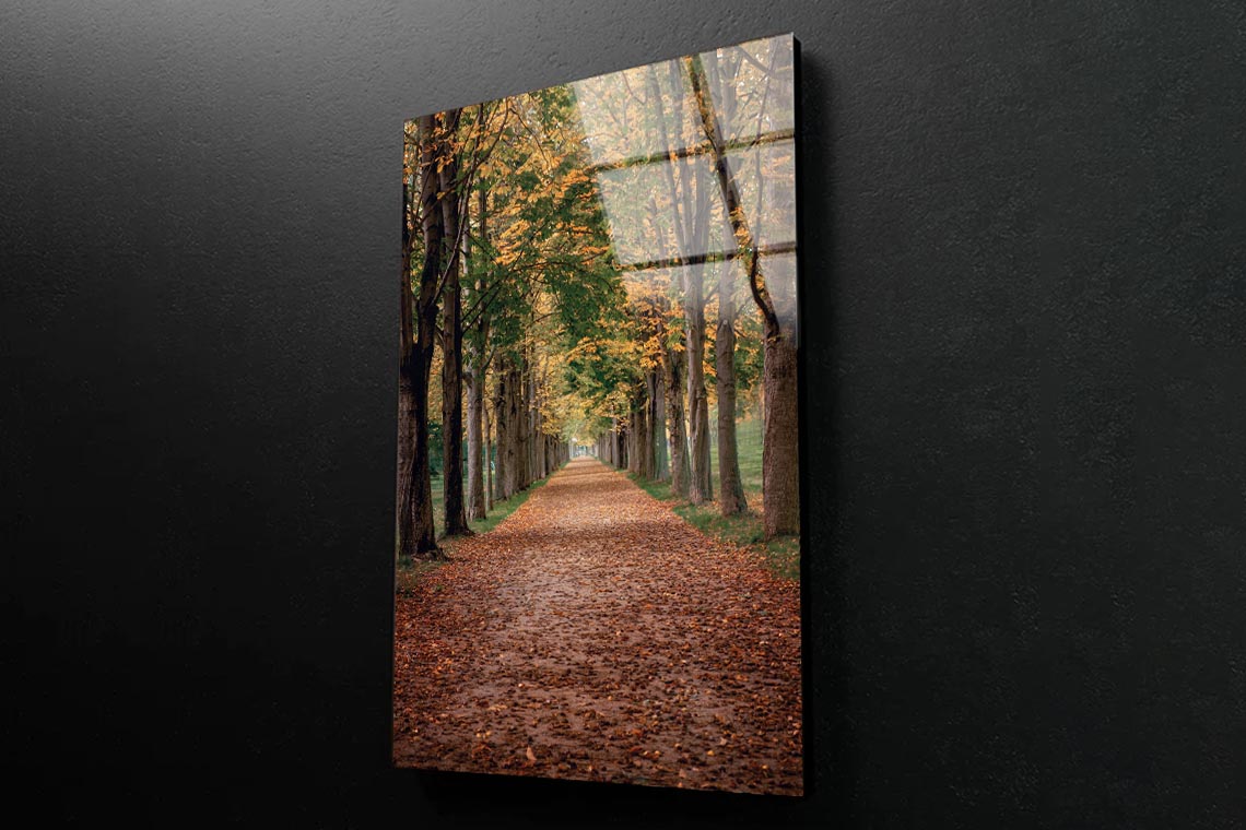 Avenue Covered by Fall Leaves in Pilnitz Park, Dresden, Germany Portrait Photograph Acrylic Glass Print Tempered Glass Wall Art 100% Made in Australia Ready to Hang