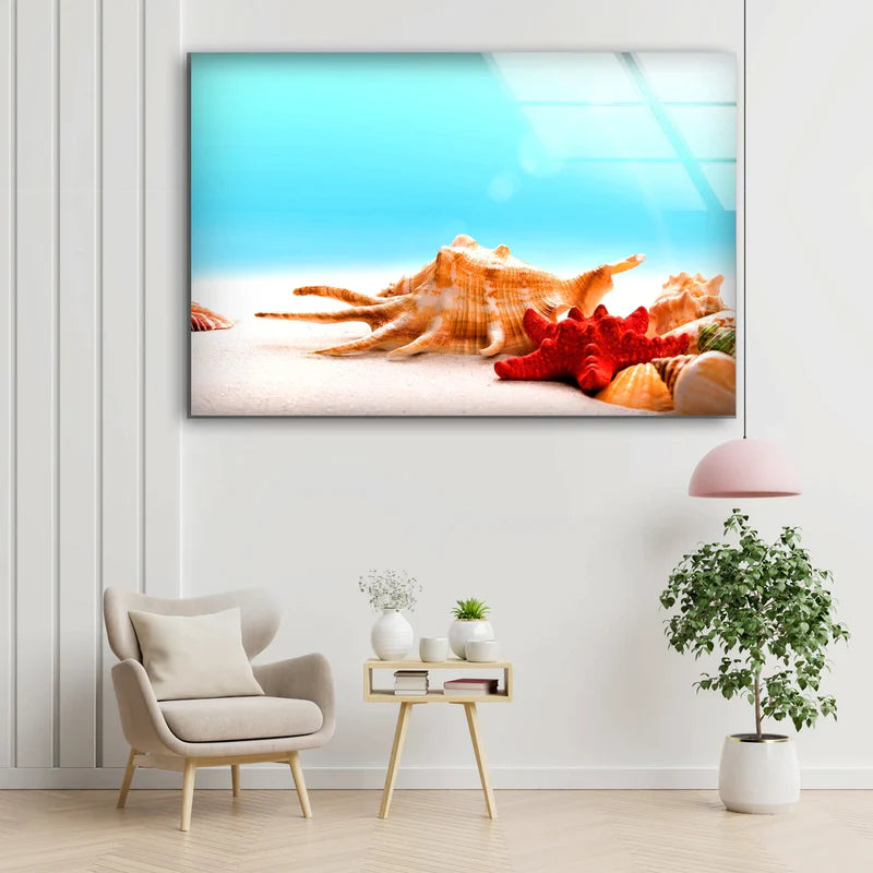 Sea Shells on Sand UV Direct Aluminum Print Australian Made Quality