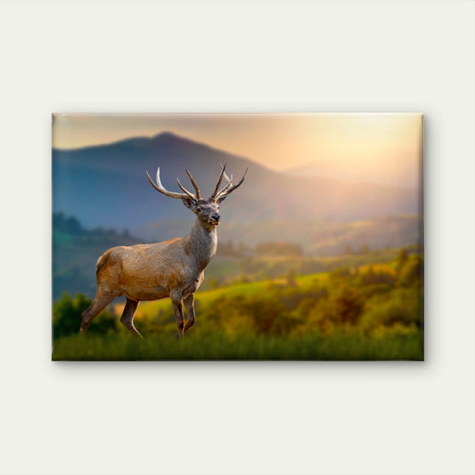 Majestic Red Deer Stag in Scottish Highlands Wall Art Decor 100% Australian Made