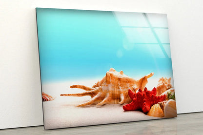 Sea Shells on Sand UV Direct Aluminum Print Australian Made Quality