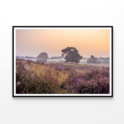 Serene Field of Beautiful Purple Flowers with Trees Home Decor Premium Quality Poster Print Choose Your Sizes