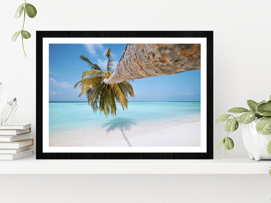 Palm Tree On White Sand Beach Glass Framed Wall Art, Ready to Hang Quality Print With White Border Black