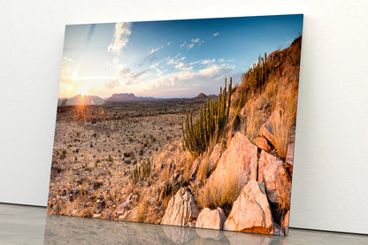 Rocks, Plants & Mountains in South Africa Acrylic Glass Print Tempered Glass Wall Art 100% Made in Australia Ready to Hang