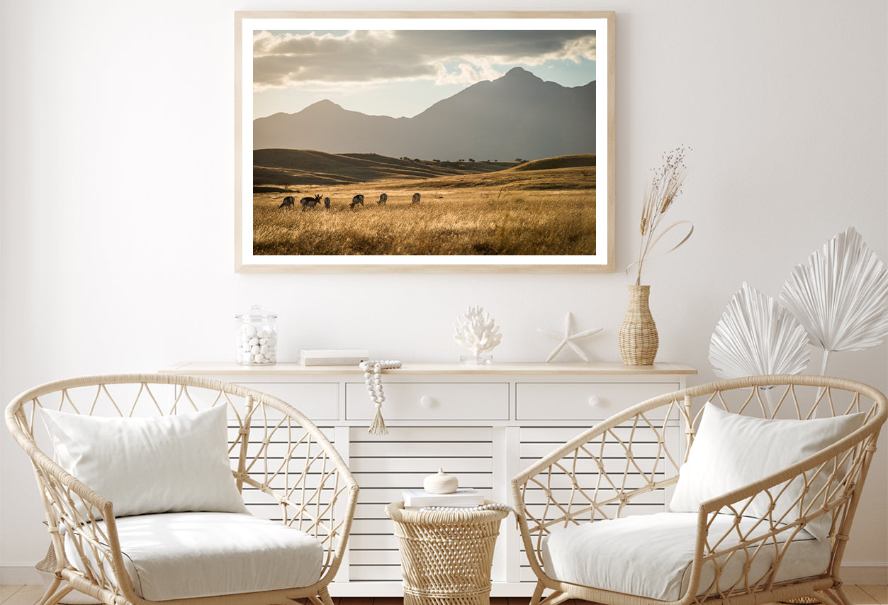 Sonoita Antelope Home Decor Premium Quality Poster Print Choose Your Sizes