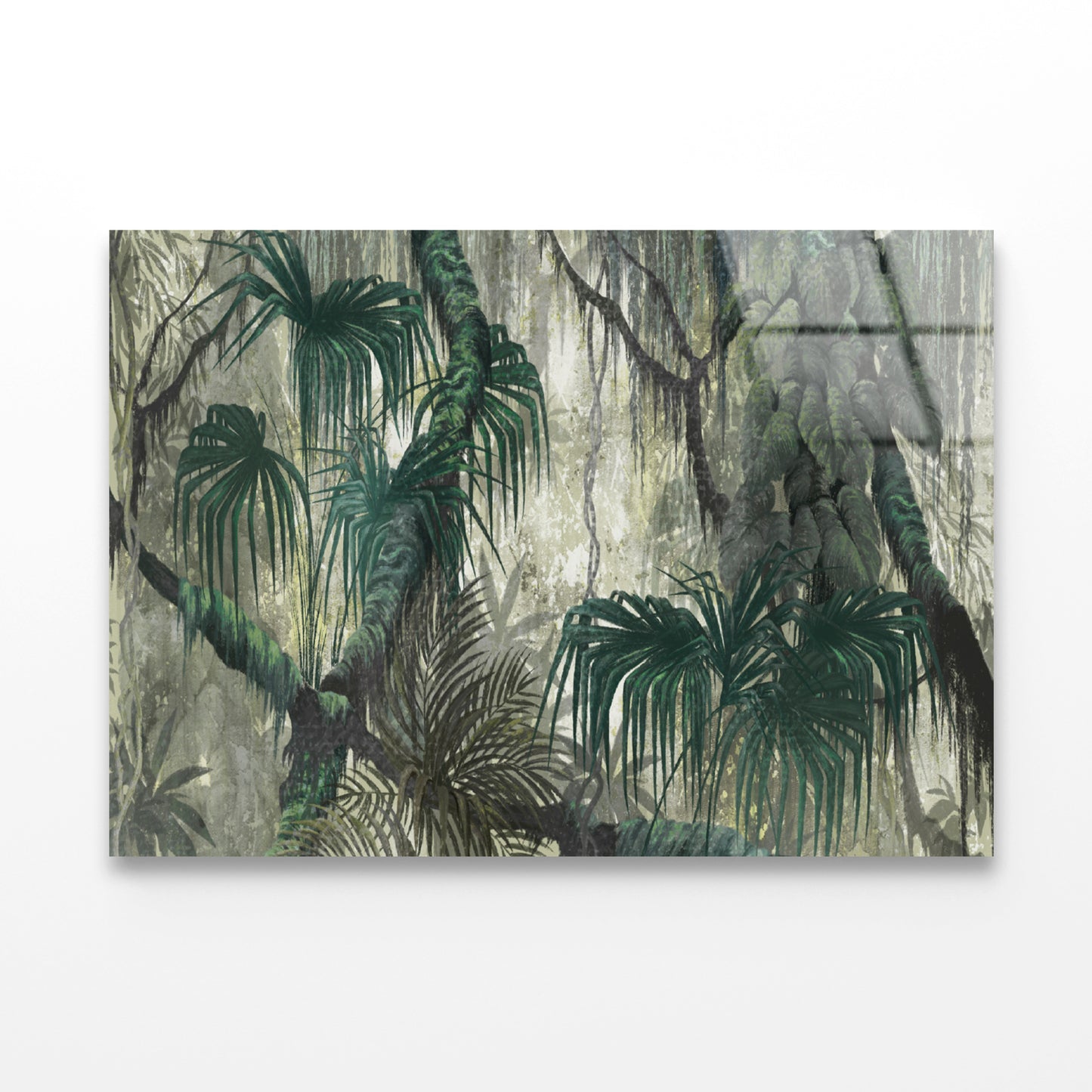 Tropical Plants and Trees Acrylic Glass Print Tempered Glass Wall Art 100% Made in Australia Ready to Hang