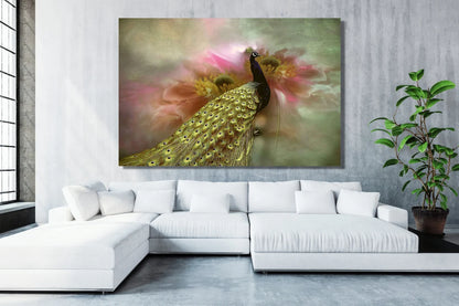 Peacock Wall Art UV Direct Aluminum Print Australian Made Quality