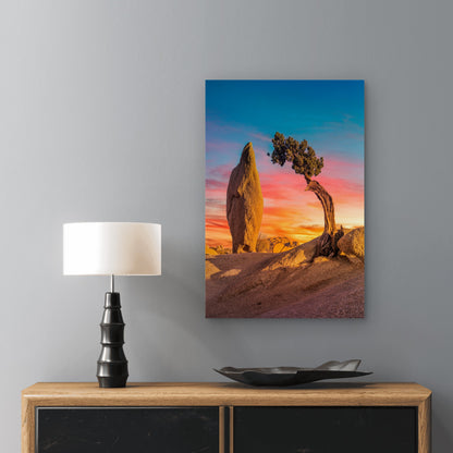 Sunset Joshua Tree Desert Nature 60x90cm Metal Print Ready to Hang