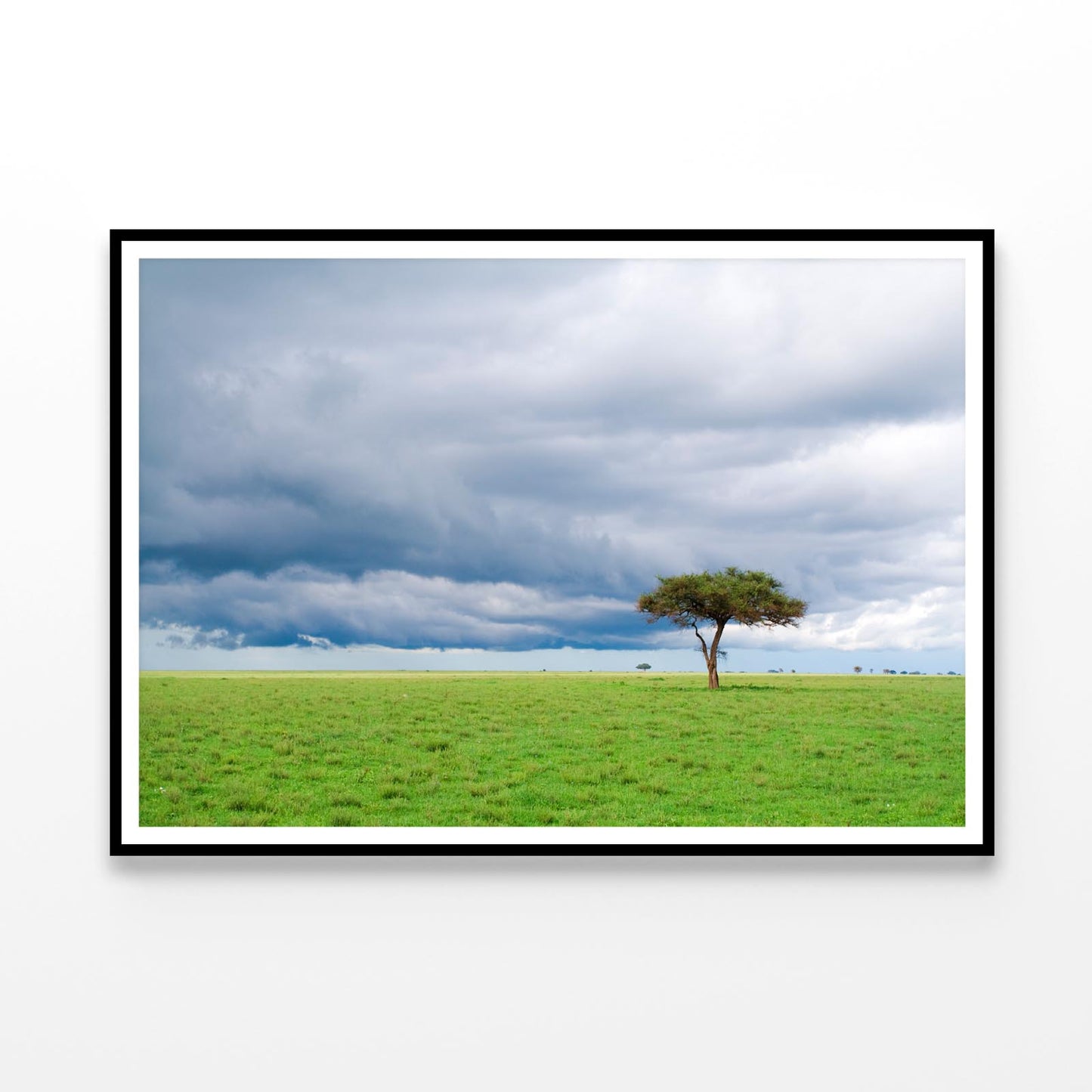 Detached Tree Green Grassland in Savanna Home Decor Premium Quality Poster Print Choose Your Sizes