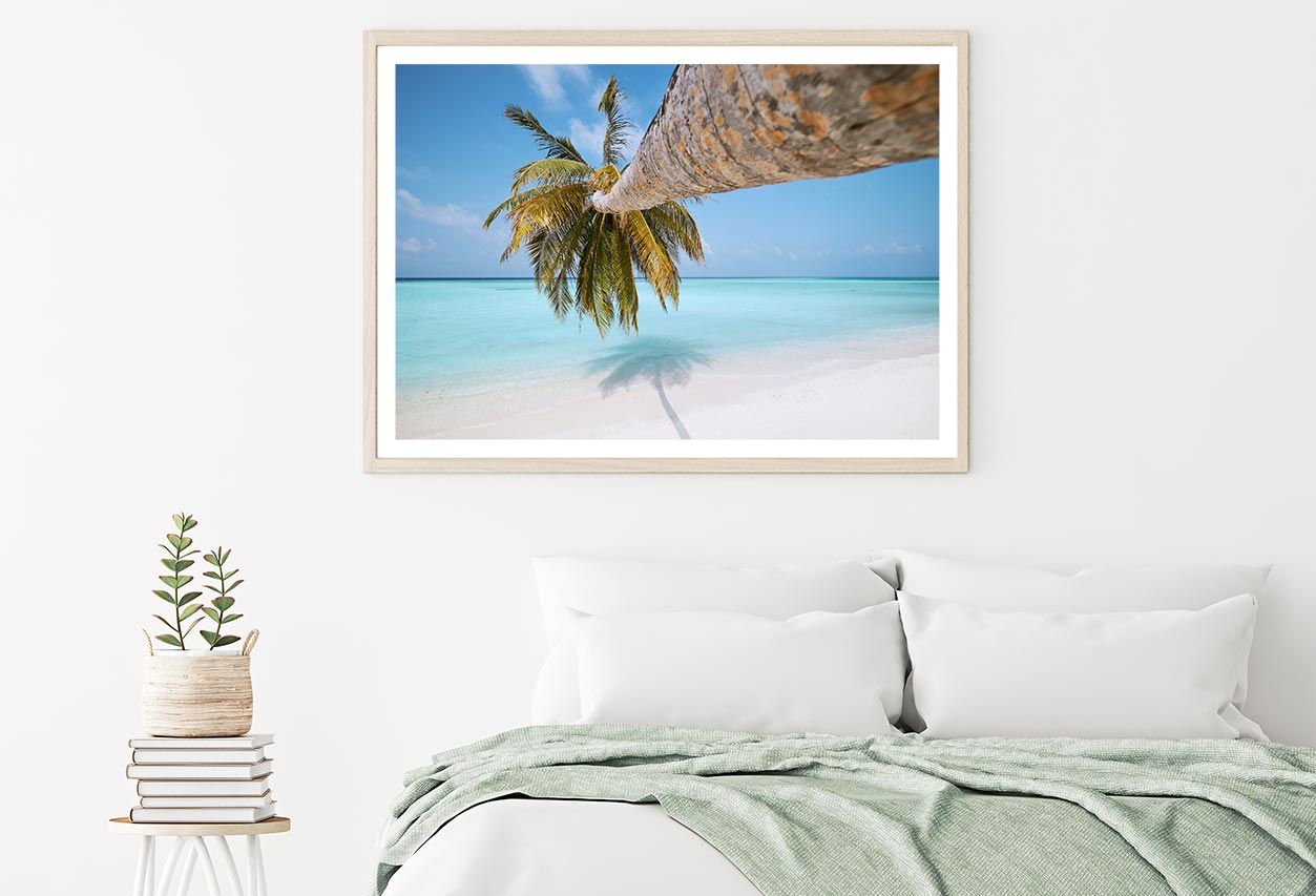 Palm Tree On White Sand Beach Home Decor Premium Quality Poster Print Choose Your Sizes